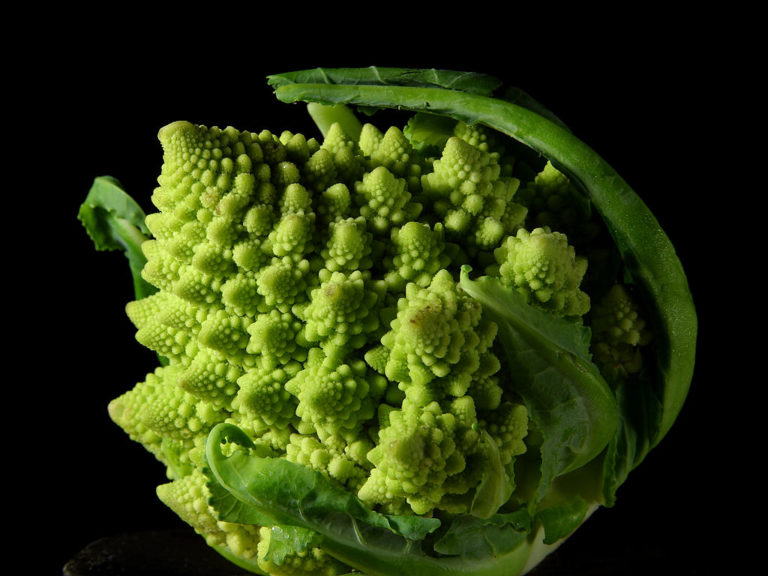 Wine & Broccoli with a Side of Chemistry: Demystifying Sulfur-Based Allergies